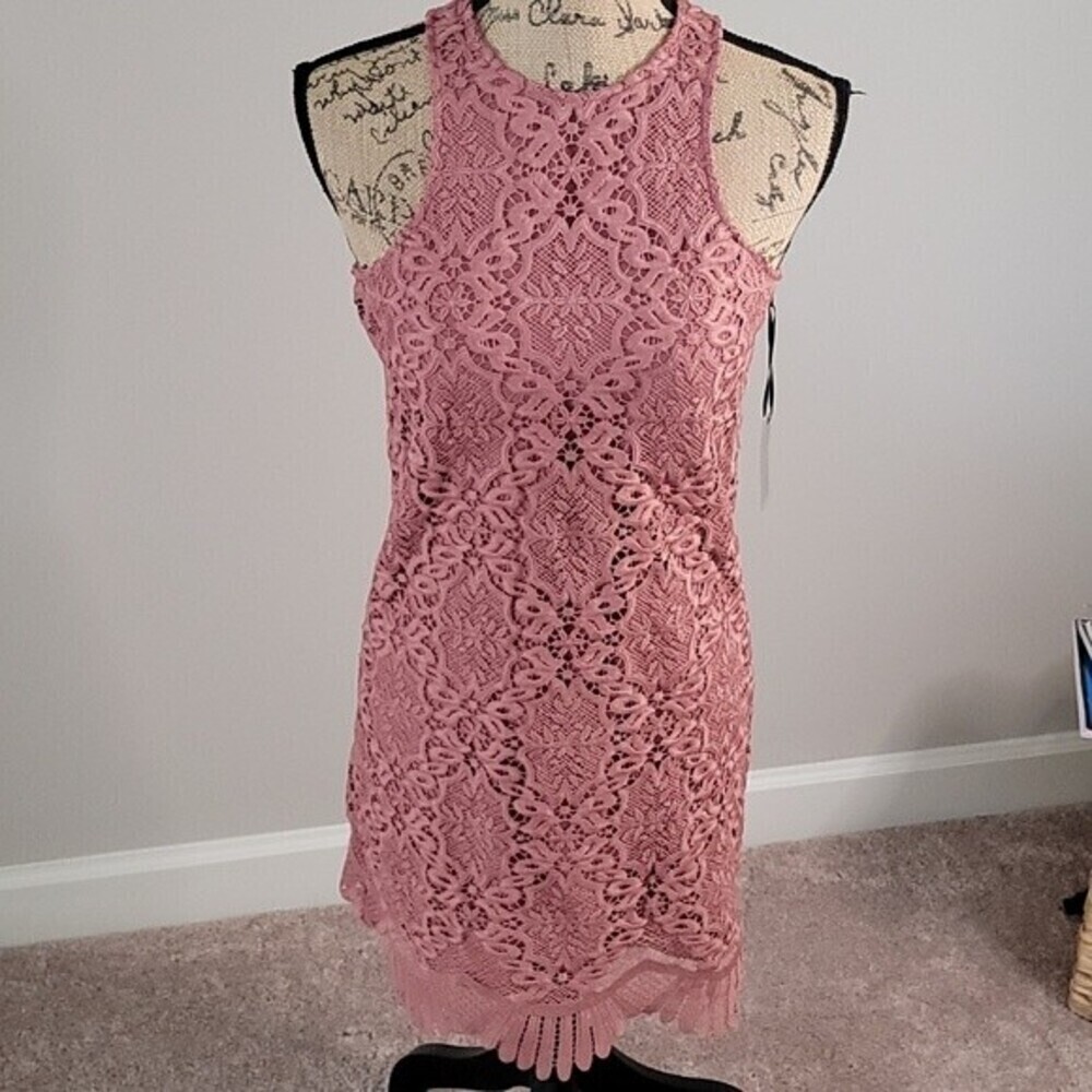Lovers + Friends Mauve Lace Dress